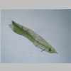 Leaf 10er 01.jpg